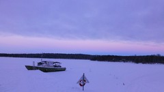 Nature Trees snow skyline forests wilderness