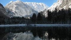 Nature Trees snow water Mountains