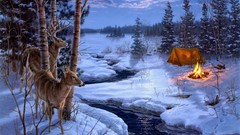 Nature Trees snow winter Animals night fire moon deer tent 