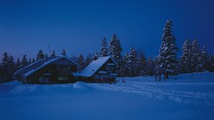 Nature Trees snow winter evening houses skyscapes