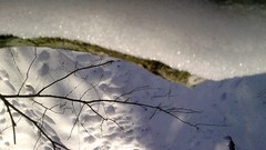 Nature Trees snow winter forests