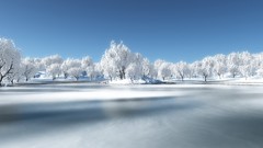 Nature Trees snow winter lakes
