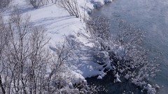 Nature Trees snow winter land lakes