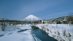 Nature Trees snow winter land skyscapes