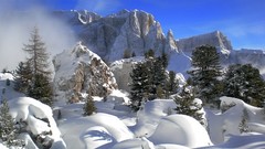Nature Trees snow winter Mountains