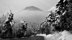 Nature Trees snow winter Mountains black and white roads forests