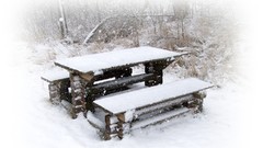 Nature Trees snow winter Tables