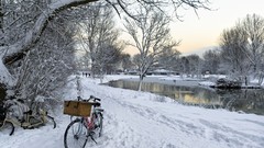 Nature Trees snow winter water clouds white walk