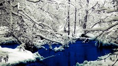 Nature Trees snow winter water reflections woods rivers
