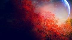 Nature Trees Stars moon fantasy art