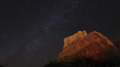 Nature Trees Stars night sky