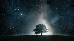 Nature Trees Stars outer space artwork upscaled