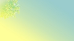 Nature Trees summer gradient morning minimalistic skyscapes