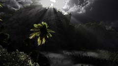 Nature Trees sun clouds dark