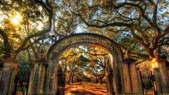 Nature Trees sun gate doors streets forests