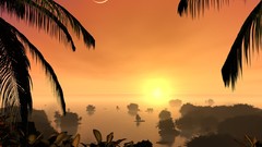 Nature Trees sun moon palm trees exotic forests