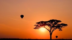 Nature Trees sun silhouettes hot air balloons