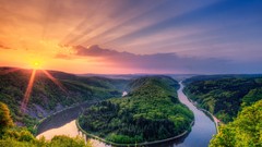 Nature Trees sunlight