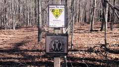Nature Trees trail signs share Wood forests respect