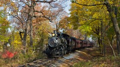 Nature Trees trains Steam train