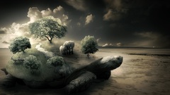 Nature Trees turtles elephants