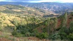 Nature Trees Villages