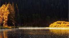 Nature Trees water autumn lakes forests