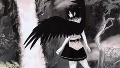 Nature Trees water black and white wings Plants hats waterfalls 