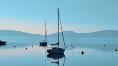 Nature Trees water Boats lakes sailing skies