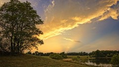 Nature Trees water clouds bushes