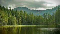 Nature Trees water clouds lakes forests pine trees dupa