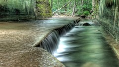 Nature Trees water Green streams forests
