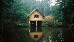 Nature Trees water lakes houses forests pine trees