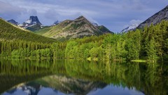 Nature Trees water Mountains