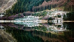 Nature Trees water Mountains rivers