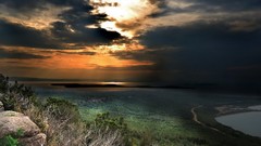 Nature Trees water outdoors skies
