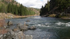 Nature Trees water rivers