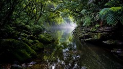 Nature Trees water rivers
