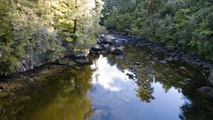 Nature Trees water rivers forests valleys