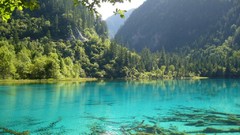 Nature Trees water valleys