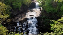 Nature Trees water waterfalls outdoors rivers forests