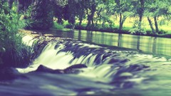 Nature Trees water waterfalls rivers