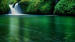 Nature Trees water waterfalls rivers forests