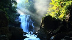 Nature Trees water waterfalls rocks sunlight