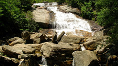 Nature Trees waterfall rocks