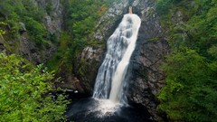 Nature Trees waterfalls