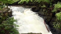 Nature Trees waterfalls