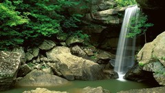 Nature Trees waterfalls