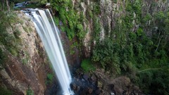 Nature Trees waterfalls