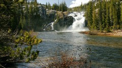 Nature Trees waterfalls